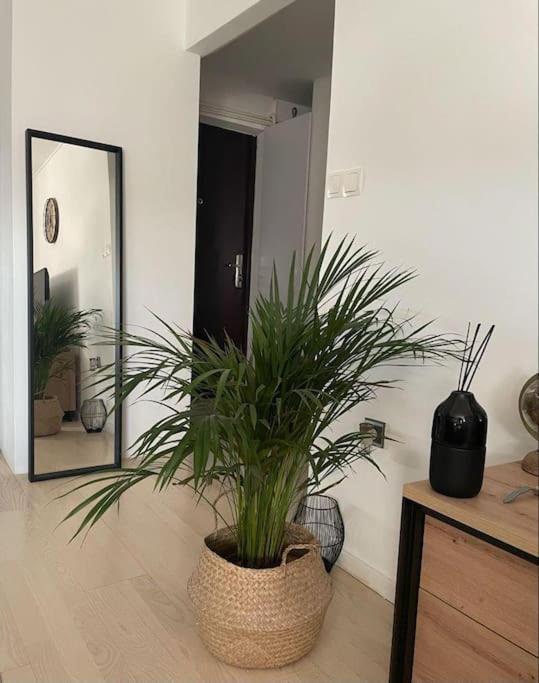 Prekrasan Mali Stan Matilda U Zagrebu Apartment Exterior photo